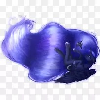 钴蓝紫电蓝王子-空若网 钴蓝紫电蓝王子-空若网