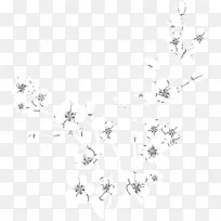 白色 线条 植物-空若网 白色 线条 植物-空若网