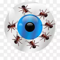 �����޼�׵����ʥ����׺����-������