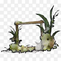 草 植物 水族馆装饰-空若网 草 植物 水族馆装饰-空若网