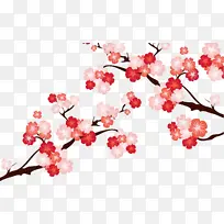 花 樱花 花朵-空若网 花 樱花 花朵-空若网