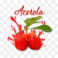 ��ȻʳƷ ֲ�� ʳƷ-������