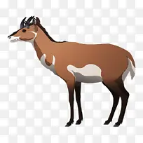 野生动物 羚羊 动物形象-空若网 野生动物 羚羊 动物形象-空若网