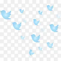 推特 飞鸟 小鸟-空若网 推特 飞鸟 小鸟-空若网