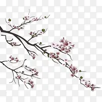 树枝 花 植物-空若网 树枝 花 植物-空若网