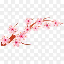 粉色 花朵 樱花-空若网 粉色 花朵 樱花-空若网