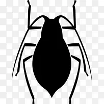 昆虫计算机图标.昆虫-空若网 昆虫计算机图标.昆虫-空若网