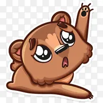 ��ͨ ���� ����-������