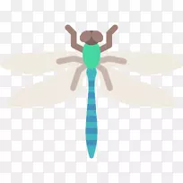昆虫类人猿蝴蝶电脑图标甲虫-蜻蜓-空若网 昆虫类人猿蝴蝶电脑图标甲虫-蜻蜓-空若网