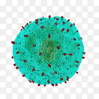 ����ʯɫ ��ɫ ��ɫ-������