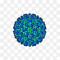 钴蓝 电蓝 圆圈-空若网 钴蓝 电蓝 圆圈-空若网