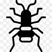 昆虫电脑图标跳蚤-空若网 昆虫电脑图标跳蚤-空若网