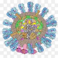 ˮ�ʻ� ���� ʪī-������