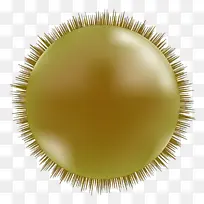 ��ɫ ֲ�� ˮ��-������