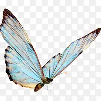 ˮ�ʻ� ���� ʪīˮ-������