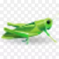 ��������-��Ѽ�����-����-������