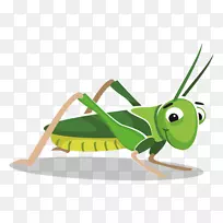 ���쿨ͨ������-����-������