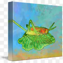 ��������滭����-����-������