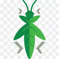 内容蚱蜢营销业务触觉足球澳大利亚信息-蚱蜢-空若网 内容蚱蜢营销业务触觉足球澳大利亚信息-蚱蜢-空若网