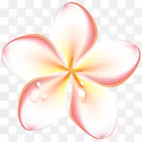 ���������Գ�-������