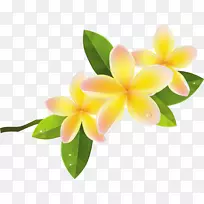 法国花卉剪贴画-空若网 法国花卉剪贴画-空若网