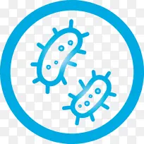 ���� ˮ ����ʯ-������