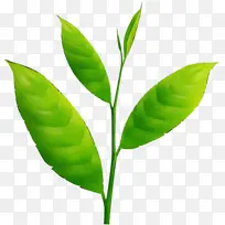 ˮ�ʻ� ���� ʪī-������