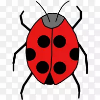 甲虫-瓢虫动画剪贴画-瓢虫-空若网 甲虫-瓢虫动画剪贴画-瓢虫-空若网