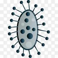 病毒 昆虫-空若网 病毒 昆虫-空若网