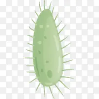 ���� ֲ�� ����-������