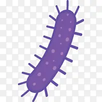 病毒 昆虫 寄生虫-空若网 病毒 昆虫 寄生虫-空若网