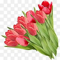 Ë®²Ê» ÓÍÆá ʪīˮ-¿ÕÈôÍø Ë®²Ê» ÓÍÆá ʪīˮ-¿ÕÈôÍø