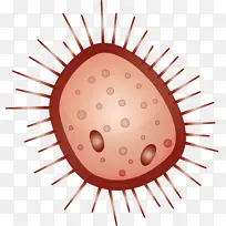 ���� ˮ�� ����-������