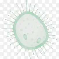 ���� ˮ�� ����-������