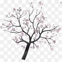 树枝 树 植物-空若网 树枝 树 植物-空若网