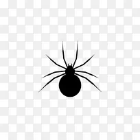 �Ѹ�֩�������޼�׵�����֩��-������