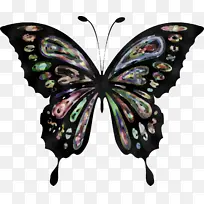 飞蛾和蝴蝶 蝴蝶 昆虫-空若网 飞蛾和蝴蝶 蝴蝶 昆虫-空若网