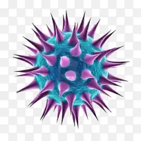 粉色 紫色 植物色-空若网 粉色 紫色 植物色-空若网