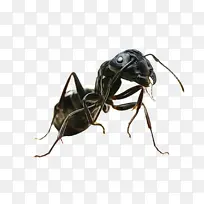 水彩 油漆 湿墨水-空若网 水彩 油漆 湿墨水-空若网