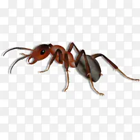 水彩 油漆 湿墨水-空若网 水彩 油漆 湿墨水-空若网