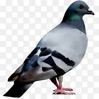 Ë®²Ê» ÓÍÆá ʪīˮ-¿ÕÈôÍø Ë®²Ê» ÓÍÆá ʪīˮ-¿ÕÈôÍø