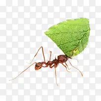 水彩 油漆 湿墨水-空若网 水彩 油漆 湿墨水-空若网