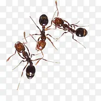 ˮ�� ���� ʪīˮ-������