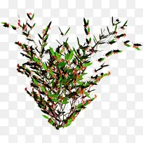 采购产品花 植物 树枝-空若网 采购产品花 植物 树枝-空若网