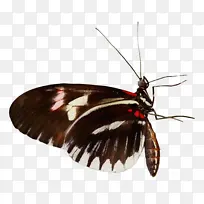 水彩画 油漆 湿墨水-空若网 水彩画 油漆 湿墨水-空若网