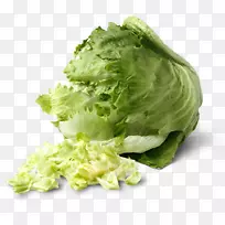 ��������Ҷ�߲�ʳƷ����-������