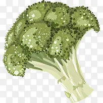 花 植物 叶-空若网 花 植物 叶-空若网