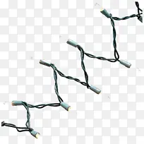 ��֦ ϸ֦ ֲ��-������