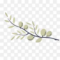 ��֦ Ҷ�� ��֦-������