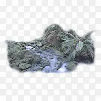 Ê÷ ÑÒʯ Ö²Îï-¿ÕÈôÍø Ê÷ ÑÒʯ Ö²Îï-¿ÕÈôÍø